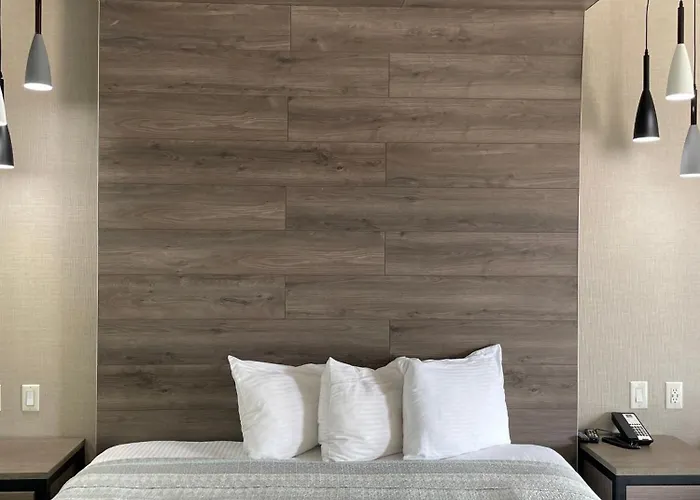 Superior King Suite